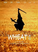 天书奇谈：你不可不知的游戏攻略与技巧